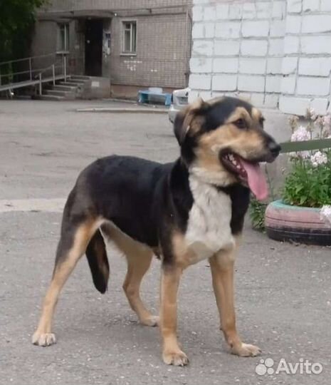 Джуля