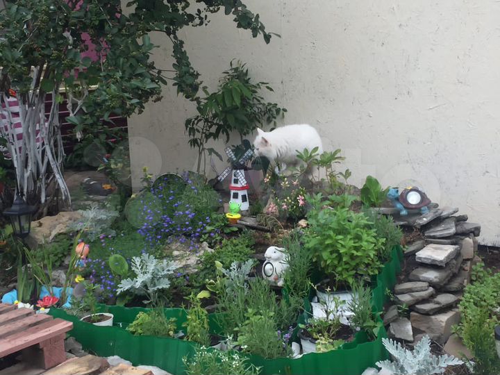 Дом 100 м² на участке 19 сот.