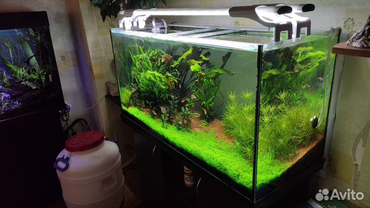 Аквариум