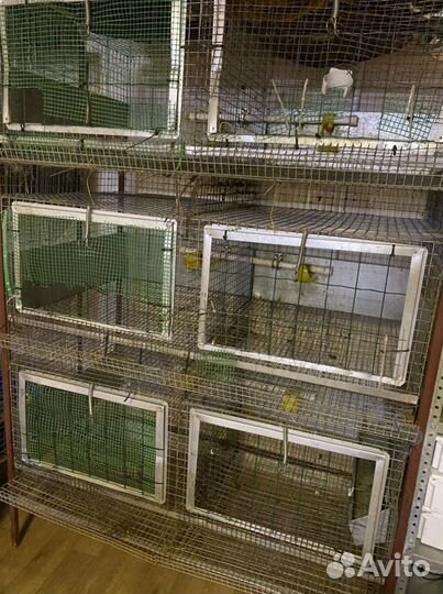 Клетки для кур, кроликов