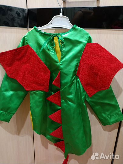 Замечательный костюм Дракона