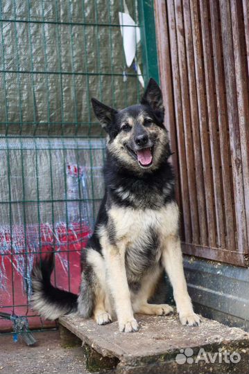 Скромный Янек ждёт семью