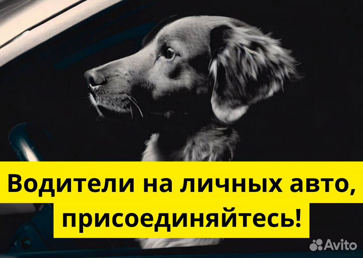 Подключай свое т/с к Яндекс GO
