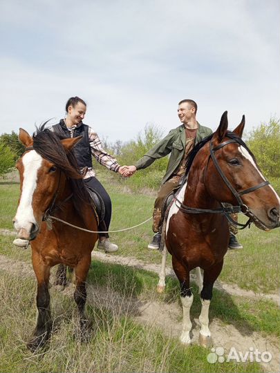 Конные прогулки