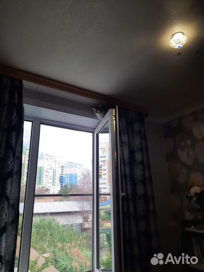 Рыжий котенок в добрые руки