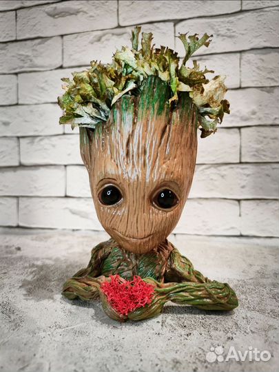 Кашпо Грут с цетрарией