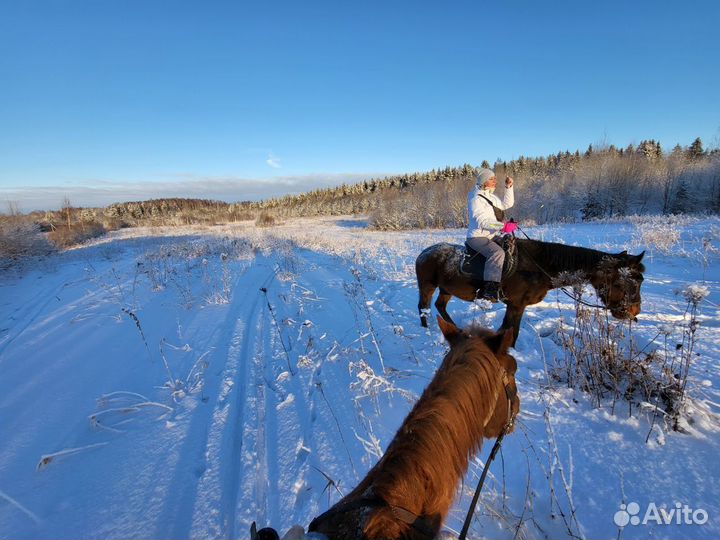 Катание на лошадях