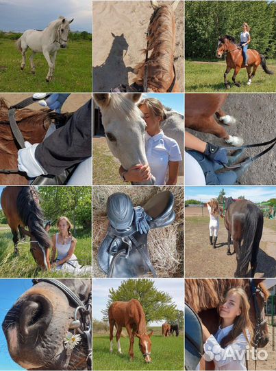 Продвижение смм специалист запрещенная сеть/вк