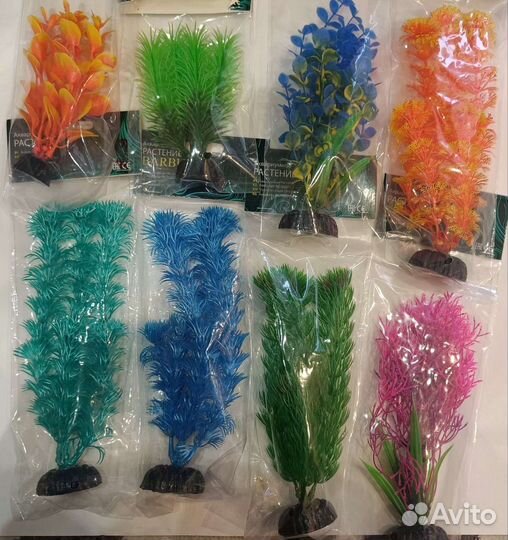 Рыбка петушок с аквариумом