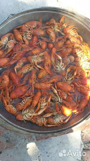 Местные Раки