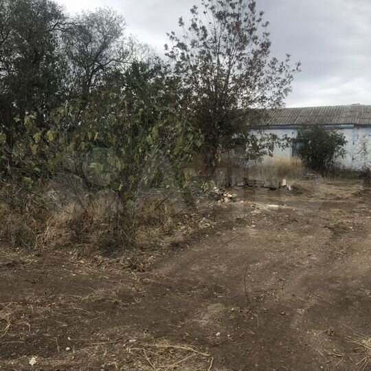 Дом 62 м² на участке 40 сот.