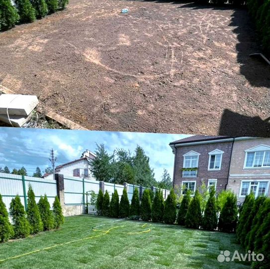 Рулонный газон