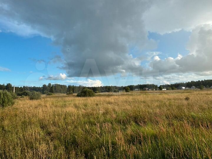 Участок 10 сот. (ИЖС)