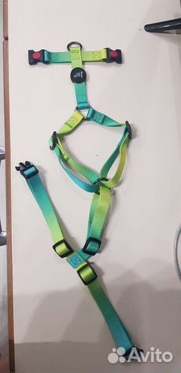 Анатомическая шлейка для собак