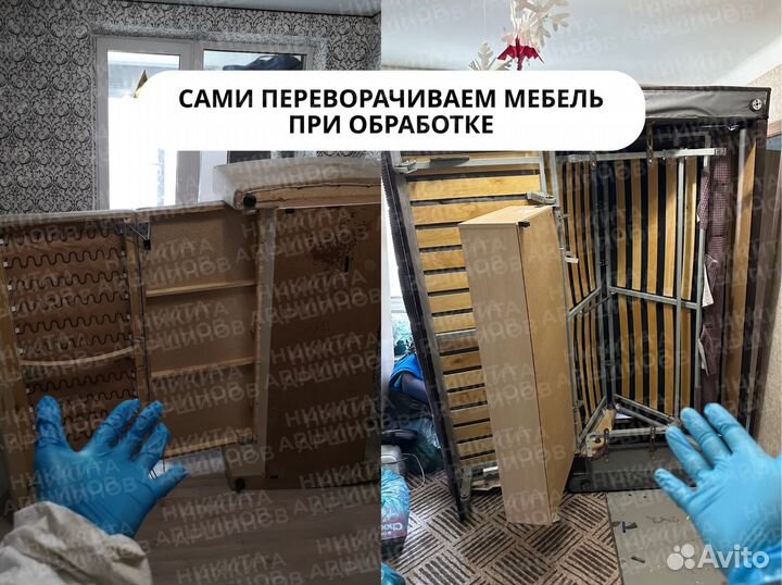 Уничтожение клопов, травить тараканов, дезинфекция