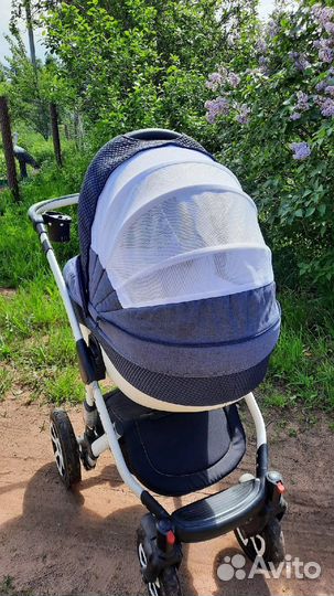 Коляска 2 в 1 adamex