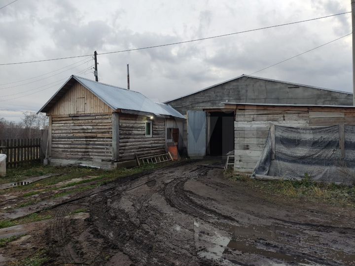 Готовая животноводческая ферма, склад, ангар