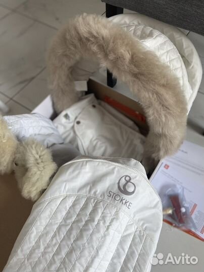 Зимний кит stokke новый логотип