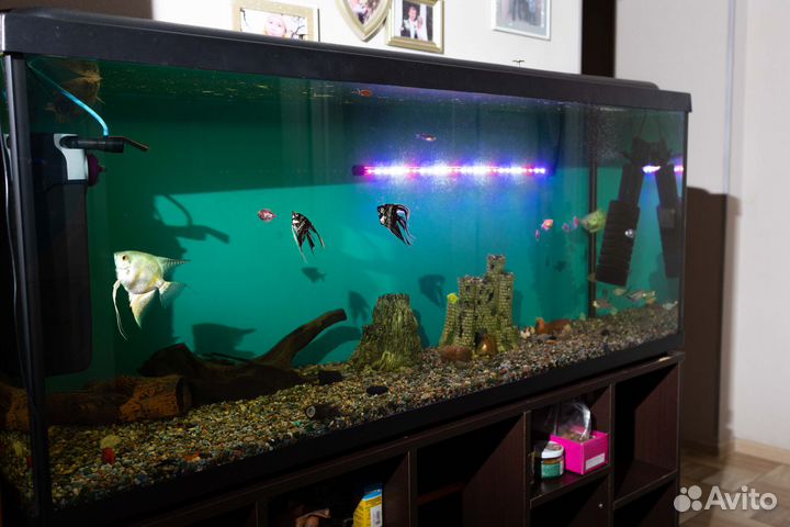 Аквариум 450 литров