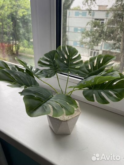 Искуственные цветы, зелень, домашние растения