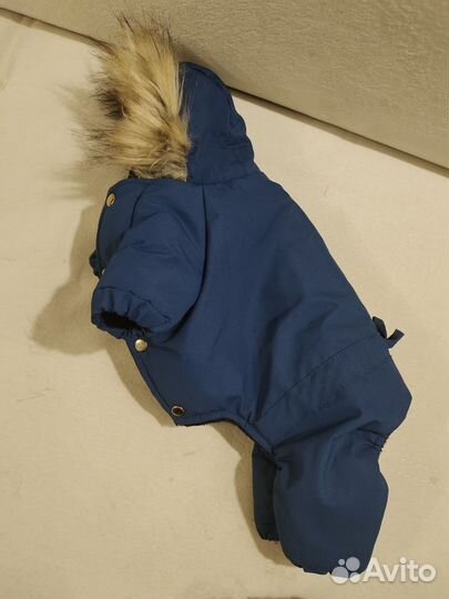 Комбинезон для маленькой собаки