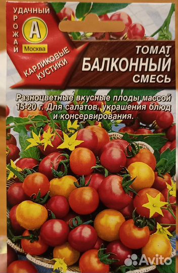 Рассада помидор черри для балкона