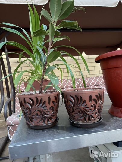 Горшок для цветов бу