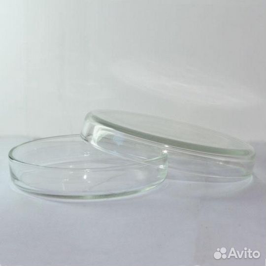 Чашки Петри (стекло, пластик)