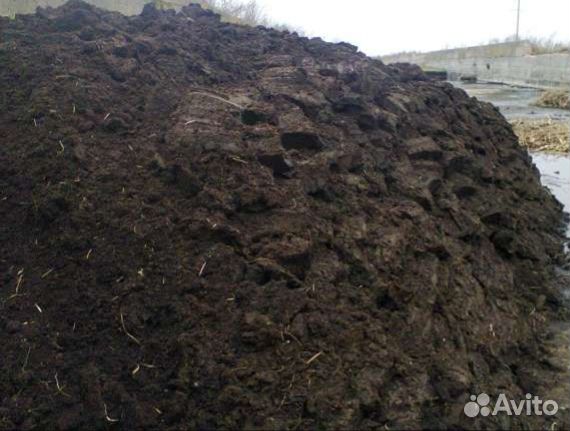 Перегной, навоз для сада и огорода