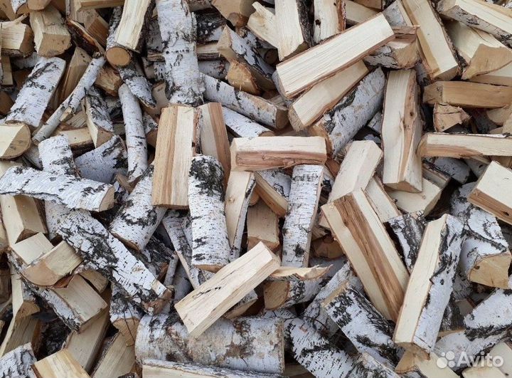 Дрова береза