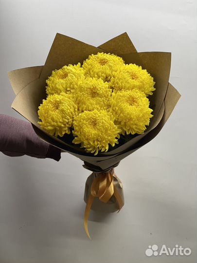 Хризантема