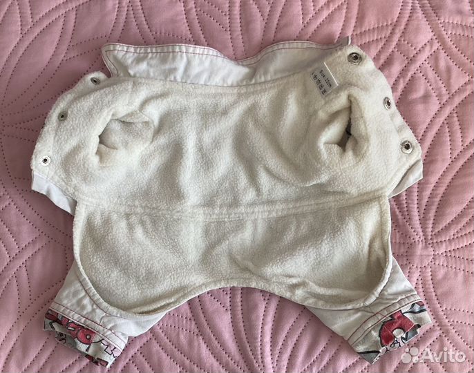 Одежда для маленьких собак