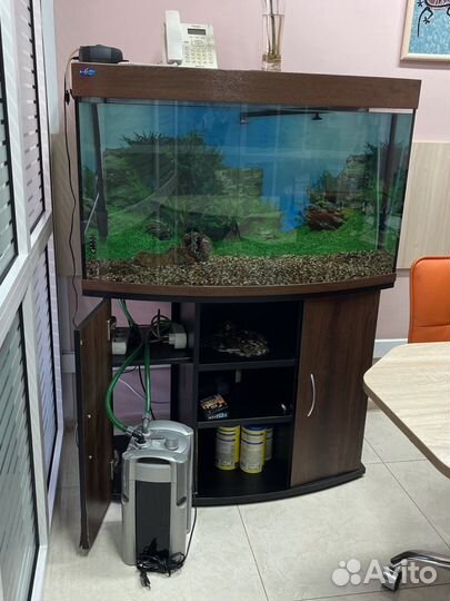 Аквариум BioDesign 280 литров