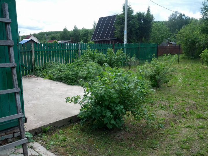 Участок 6 сот. (СНТ, ДНП)