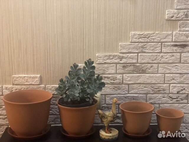 Глиняный горшок для цветов