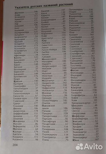 Композиции из комнатных растений Доронина Н. В