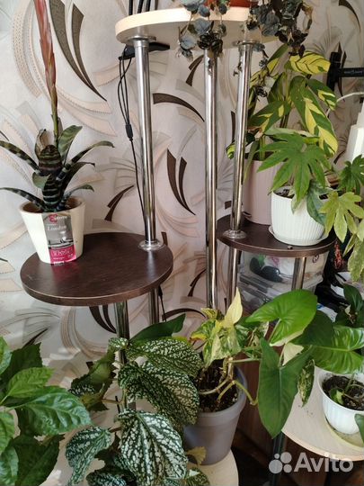 Полка для цветов