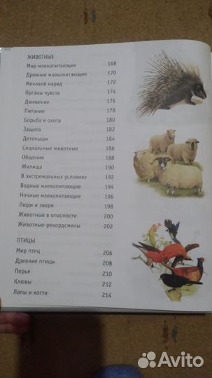 Детская инциклопедия