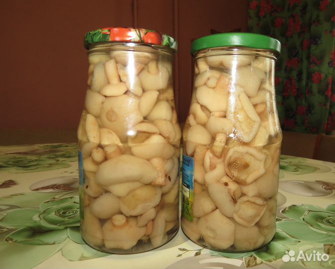 Заготовки домашние: грибы, щавель