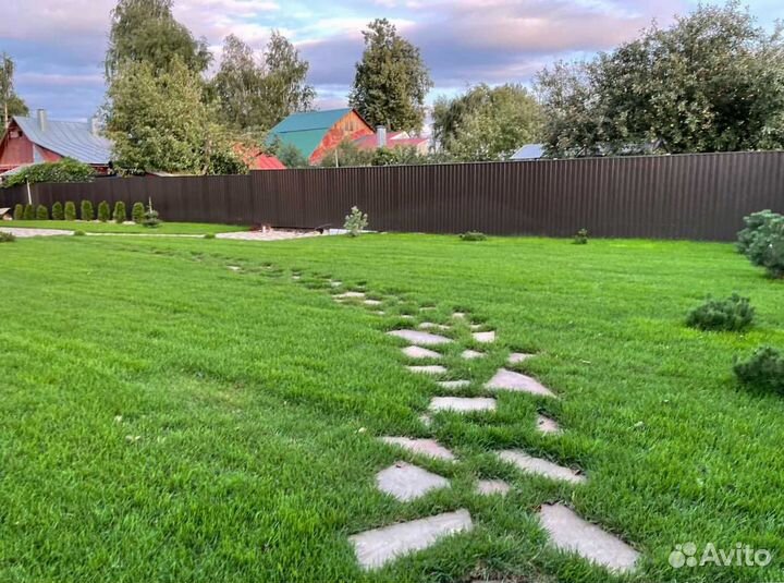 Рулонный газон