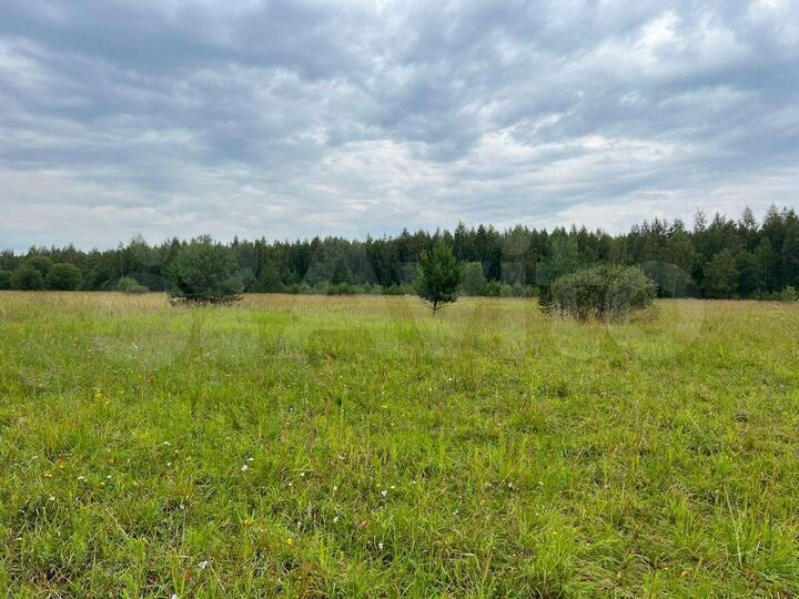 Участок 6 га (СНТ, ДНП)