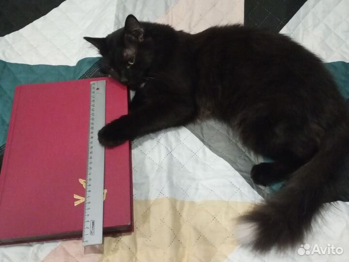 Альбом с почтовыми марками