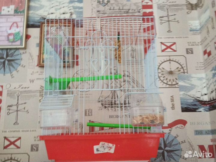 Клетка для попугая