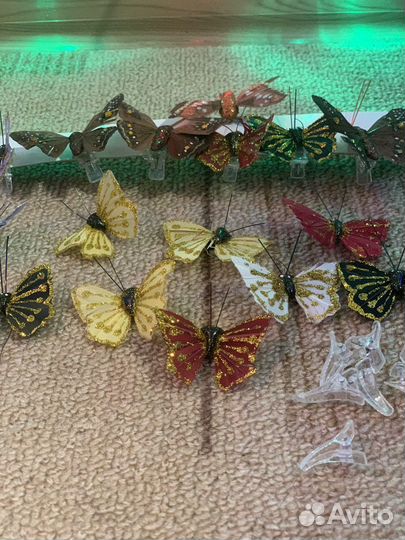 Флористика бабочки