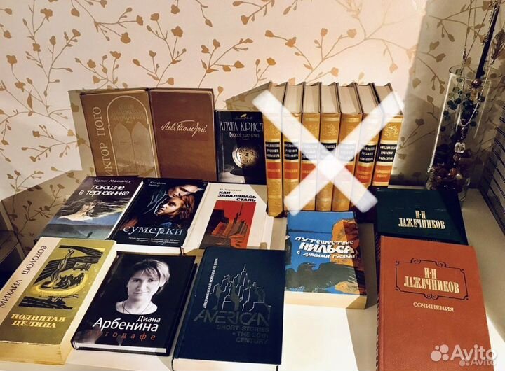 Книги на русском и английском, много