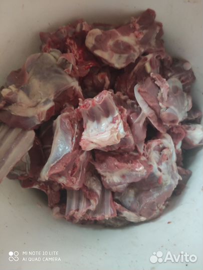 Мясо молоденькая козлятина