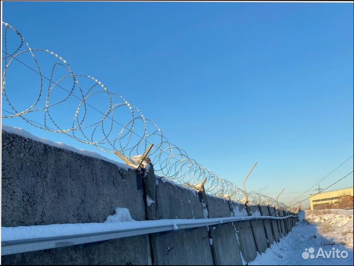 Колючая проволока Егоза, сбб, пбб