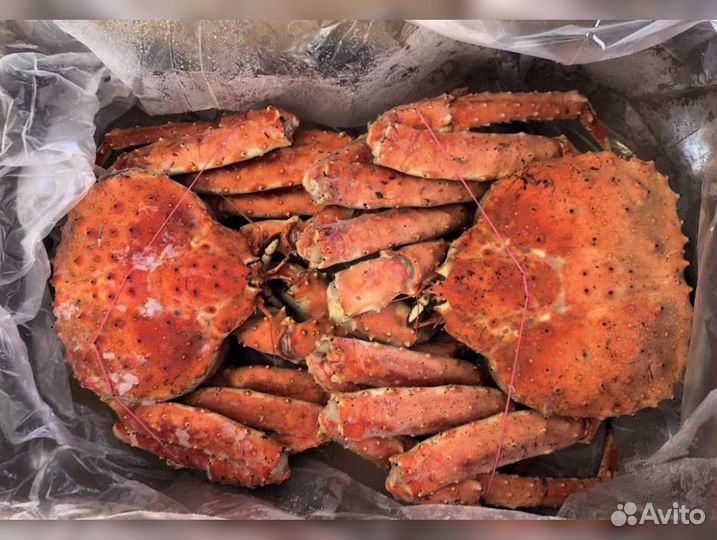 Краб Камчатский