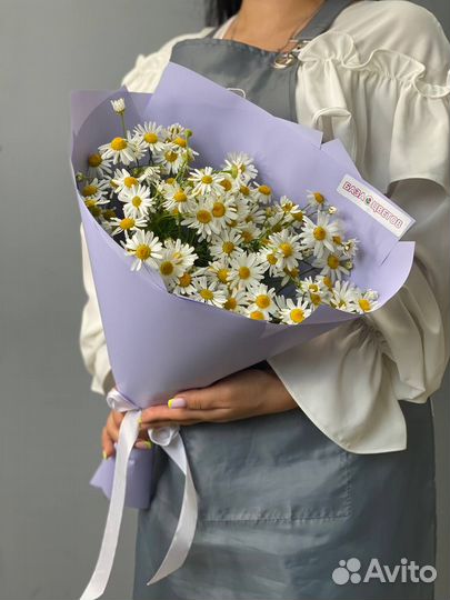 Ромашки цветы букеты