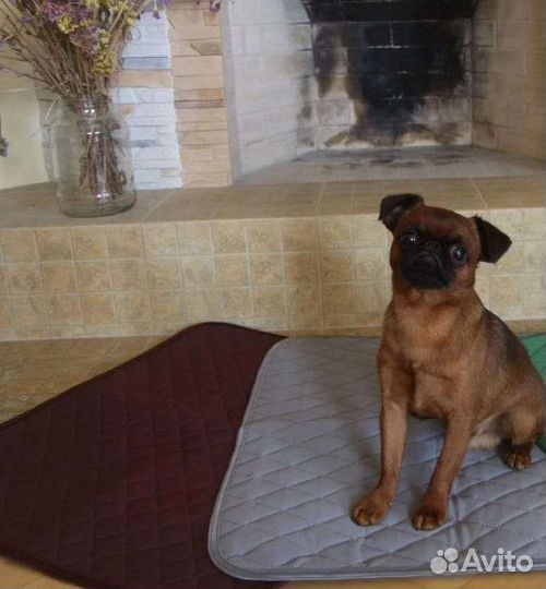 Многоразовые фабричные пеленки для собак